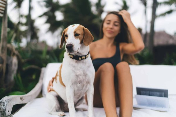 Comment reconnaître et répondre aux différents types d'aboiements d'un chien ?